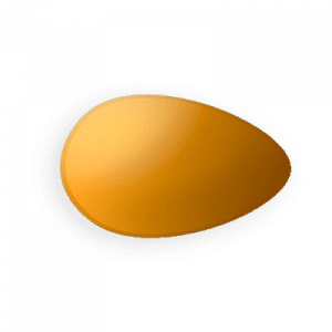 Vidalista